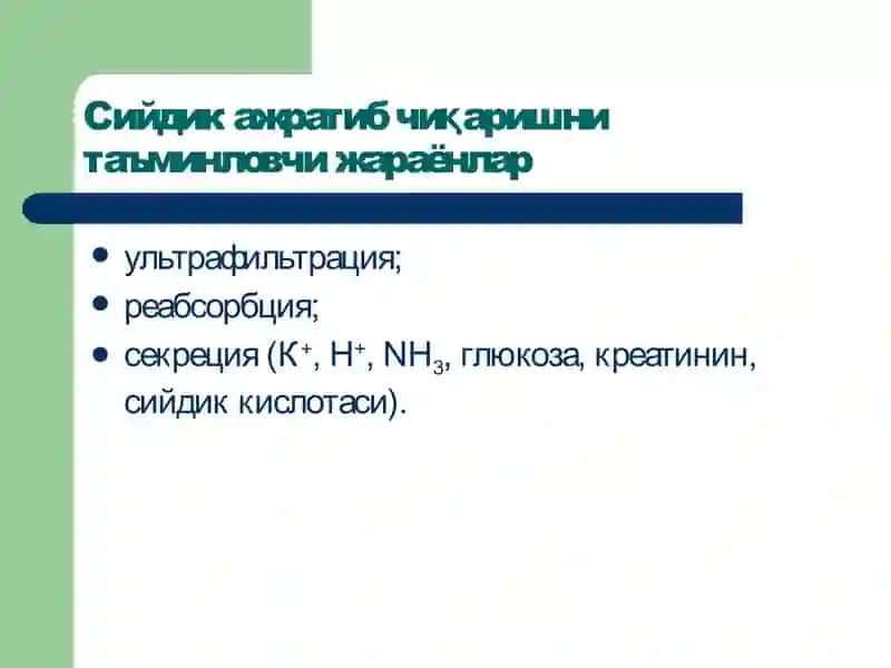 Буйраклар патофизиологияси 3