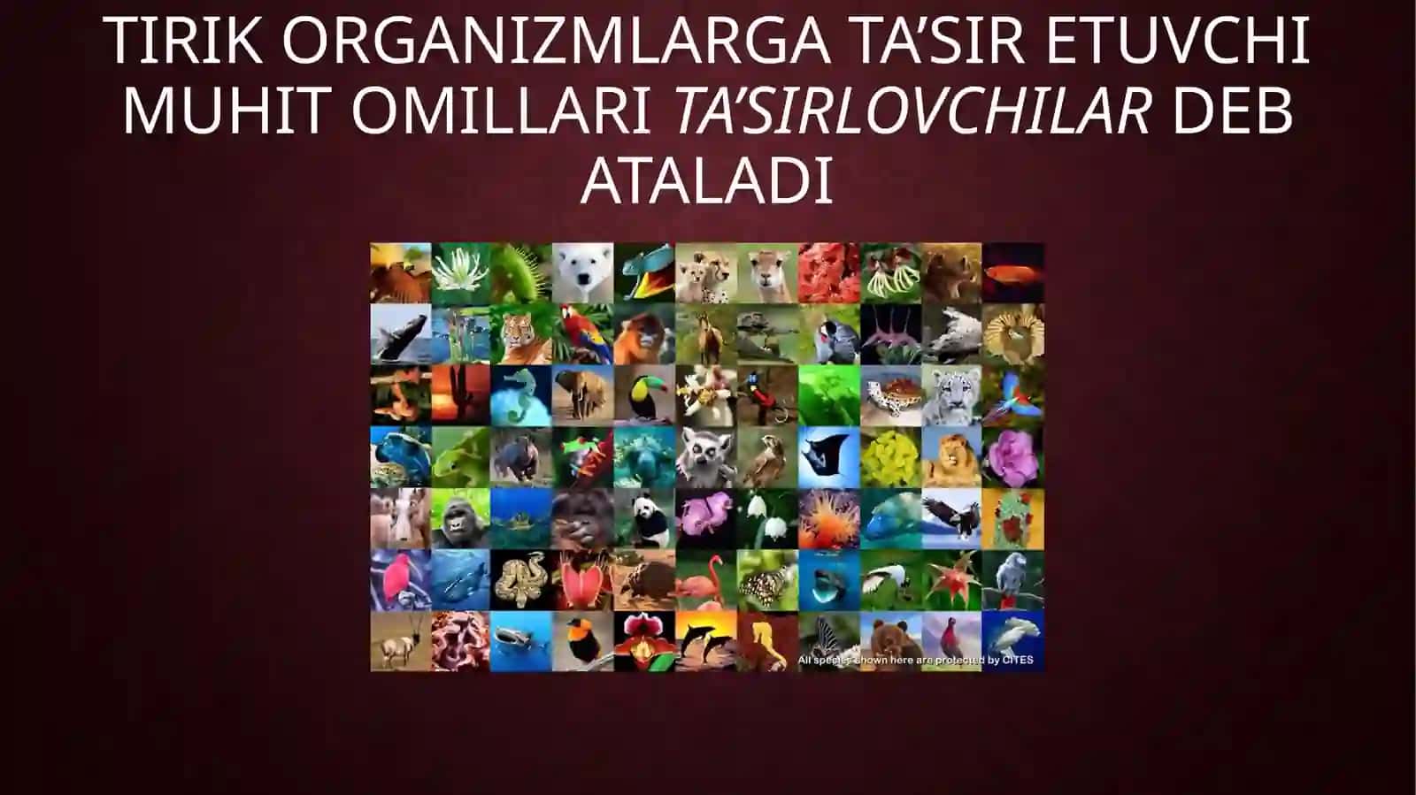 TIRIK ORGANIZMLARNING TA’SIRLANISHI 3