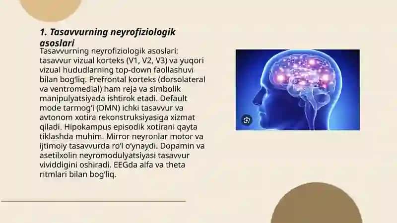 Tasavvur (obrazli fikrlash) va miya 3