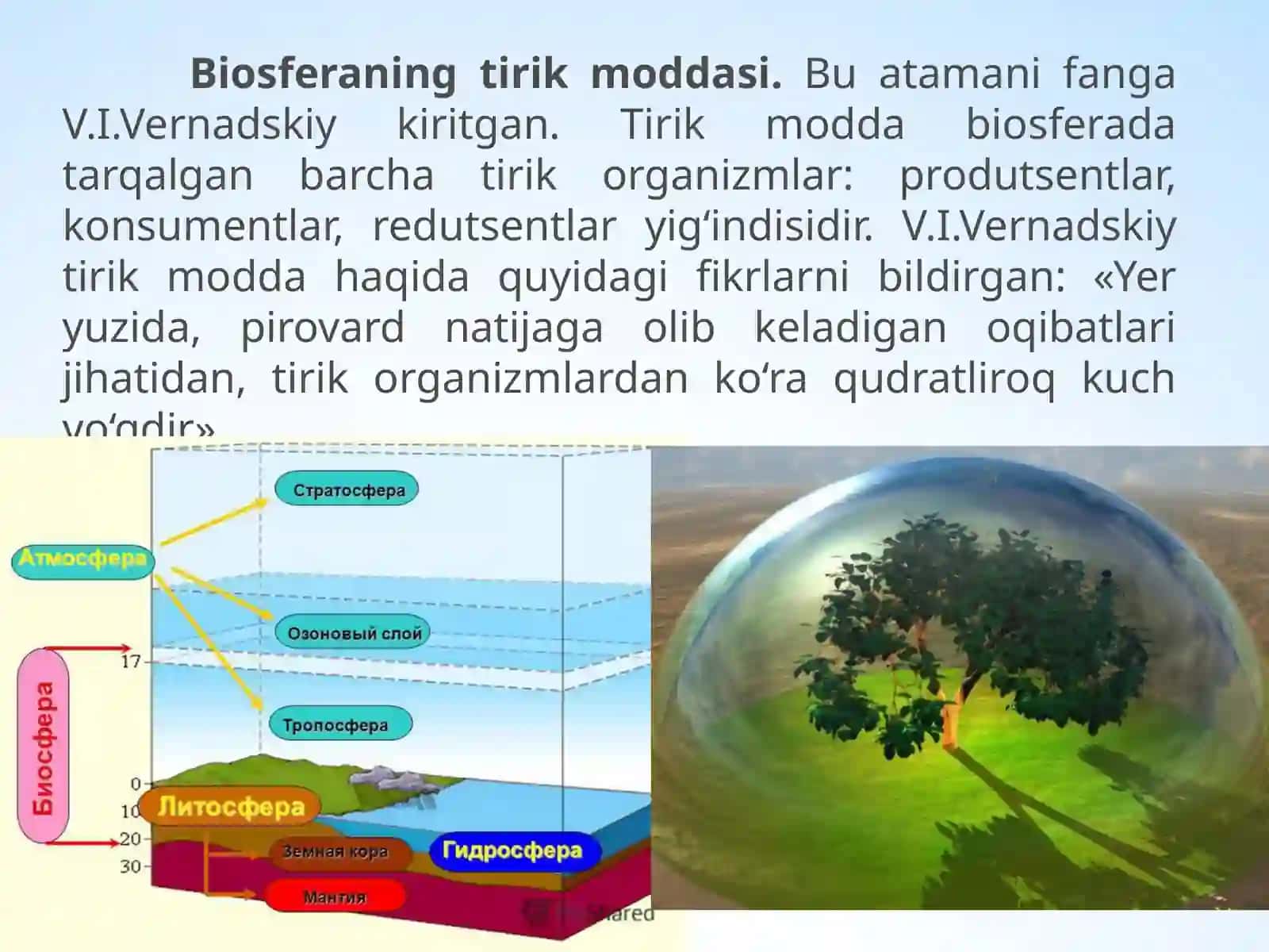 Biosferaning tarkibi 3