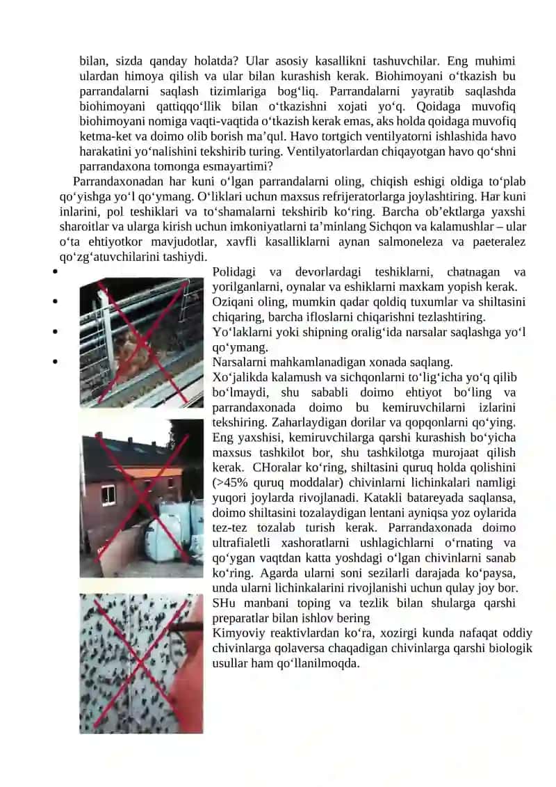 Jo’jalarni o’stirish parvarishlash xonalarini dezinfiksiyalash 3