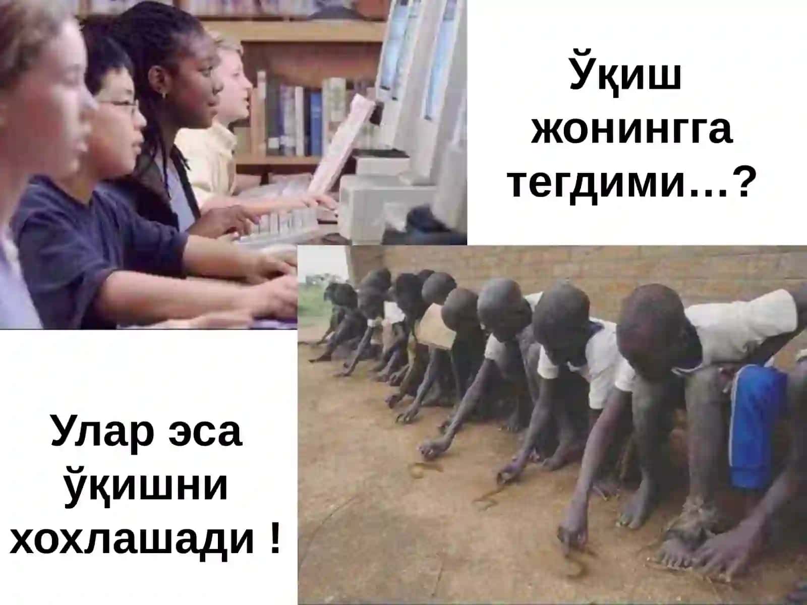 Саволлар-жавоблар 3