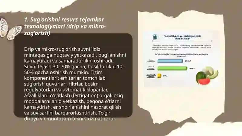 Poliz ekinlarini yetishtirishda resurs tejamkor texnologiyalar 3