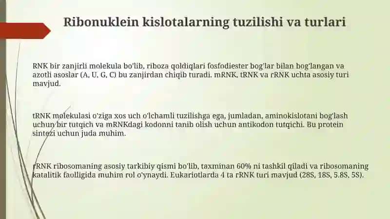 Ribonuklein kislotalar 3