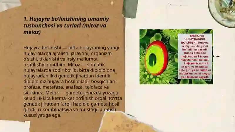Hujayra boʻlinishining bosqichlari va ahamiyati 3