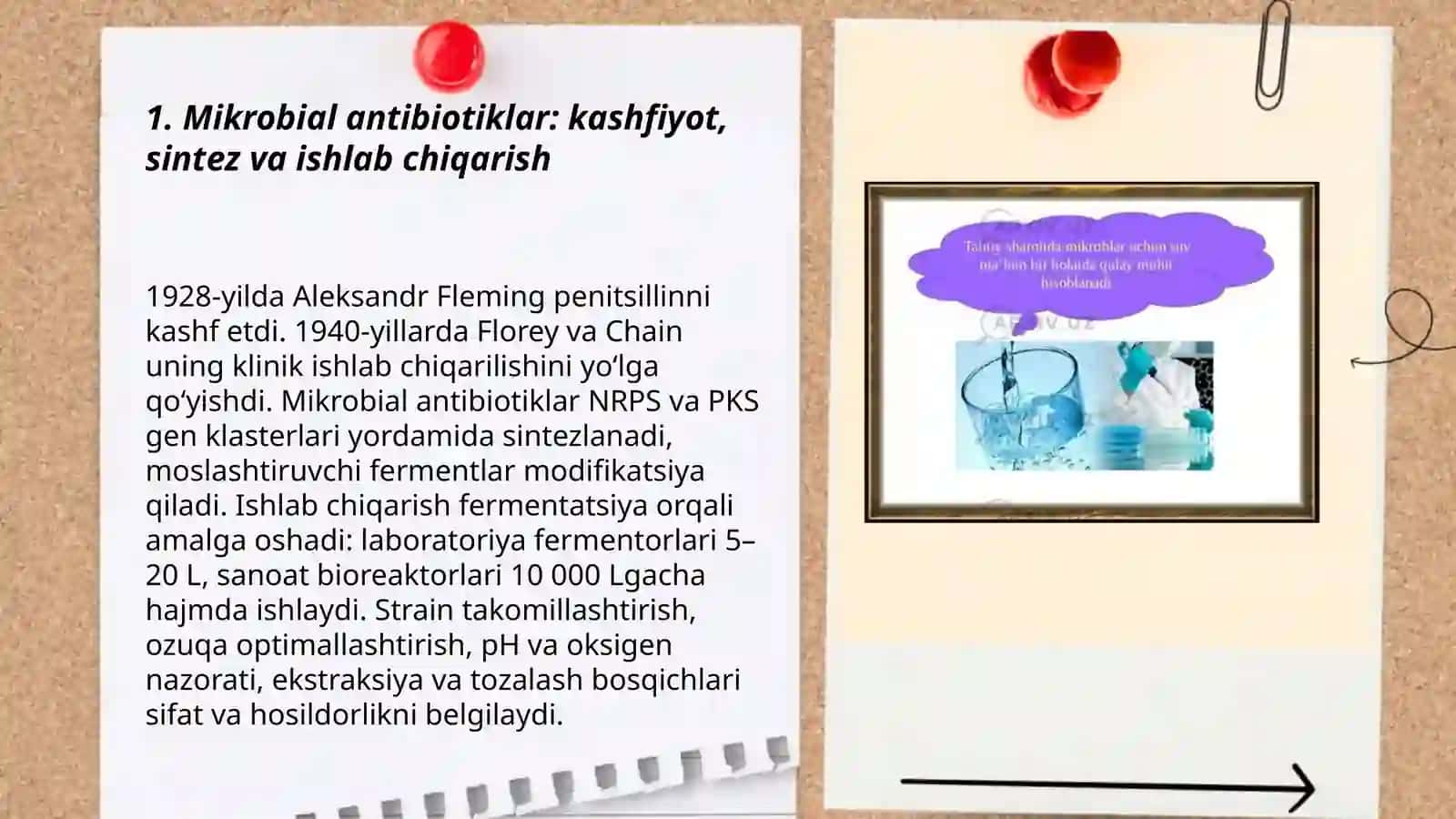 Mikroblar yordamida ajratib olinadigan biofaol moddalar 3