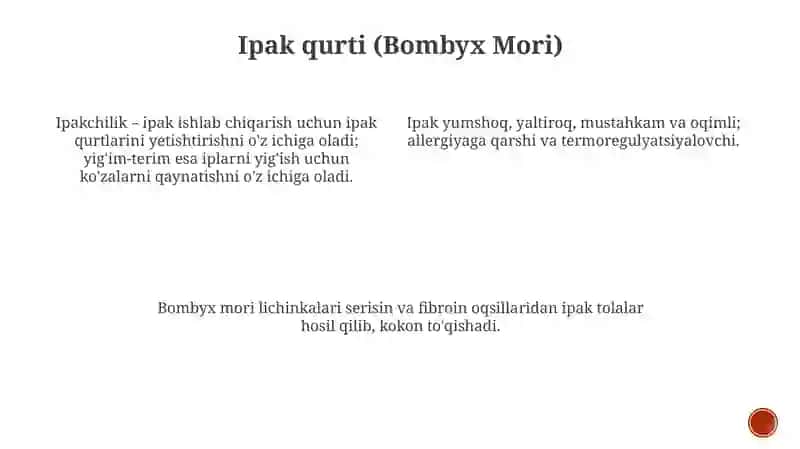 Ipak qurti (Bombyx Mori) 3