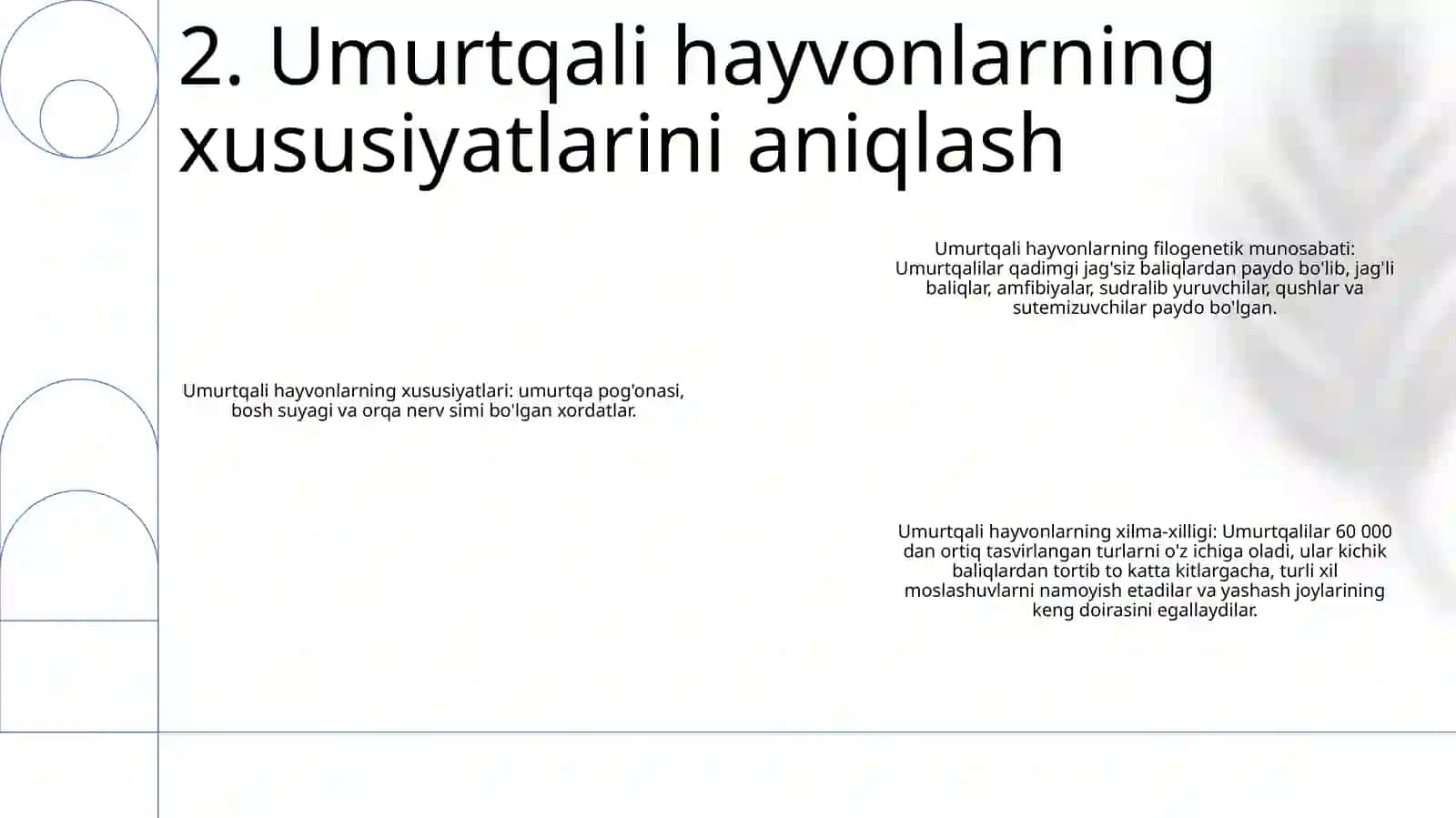 Umurtqali Hayvonlar Dunyosining Filogenetik Bog‘Lanishi 3