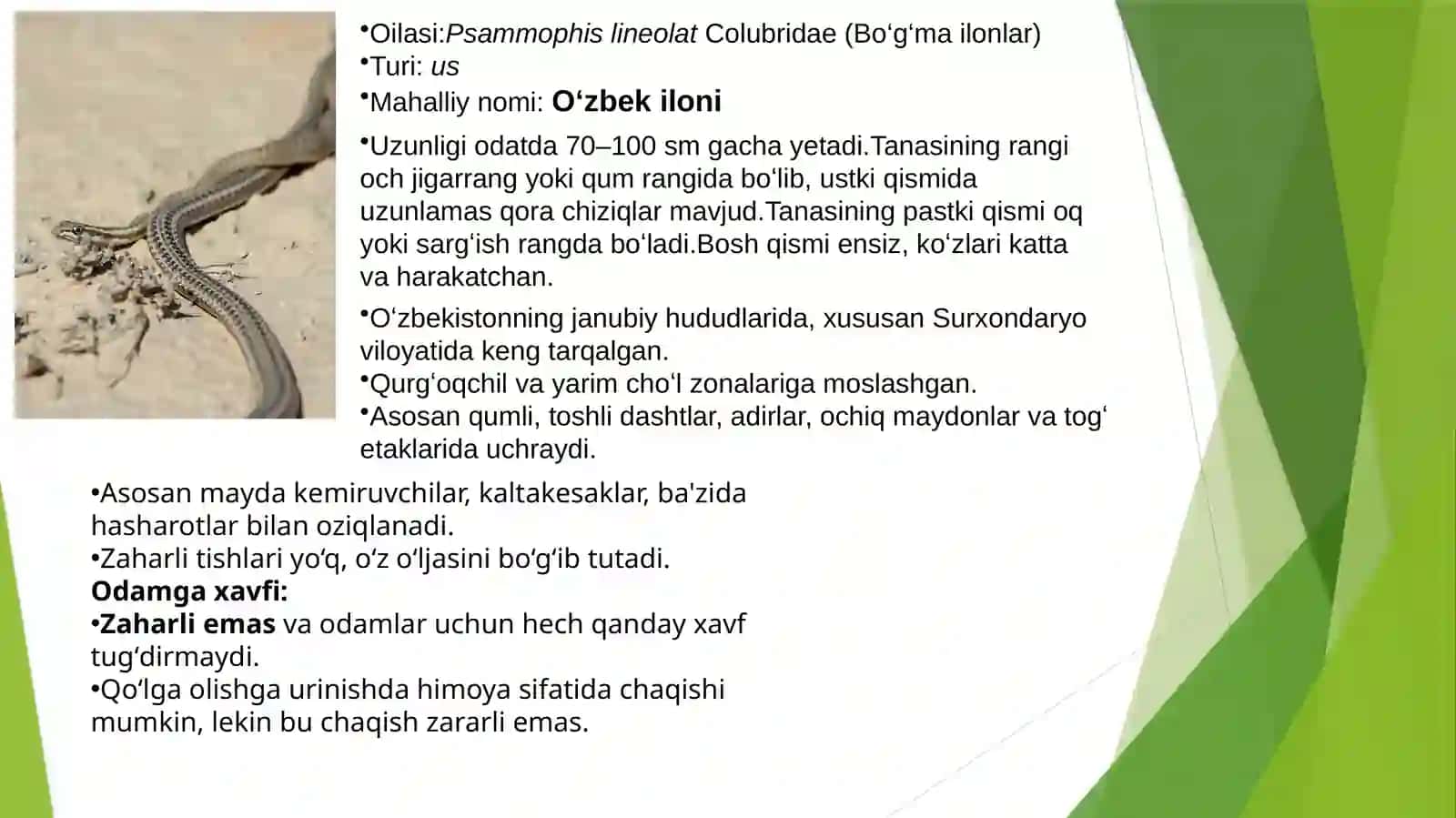 Surxondaryo viloyati sharoitida uchrovchi ilonlar reja 3