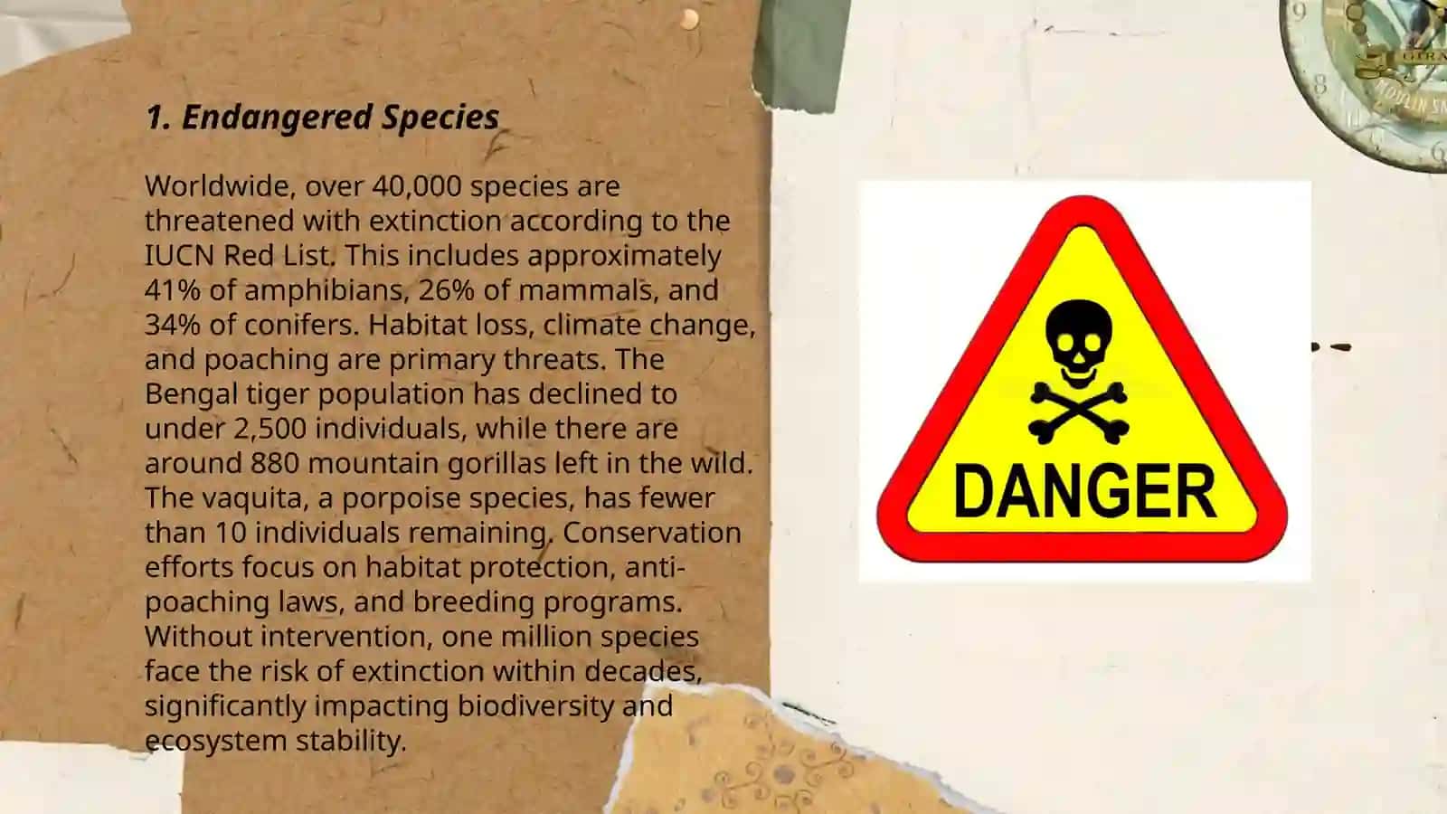 Animals in danger 3