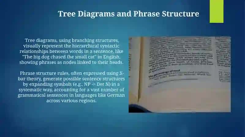 Sentence constituent 3