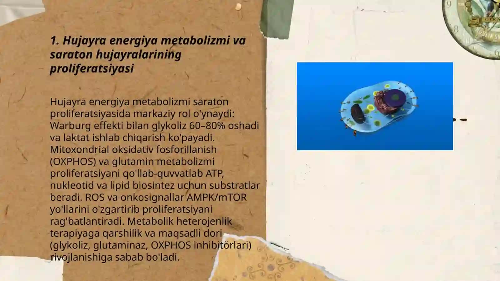 Hujayrada moddalar energiya va malumotlar oqimi hujayra proliferatsiyasi muammolarining tibbiyotdagi roli 3