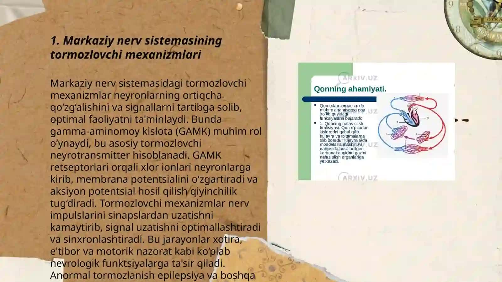 Markaziy nerv sistemasining tormozlovchi sinapslari 3