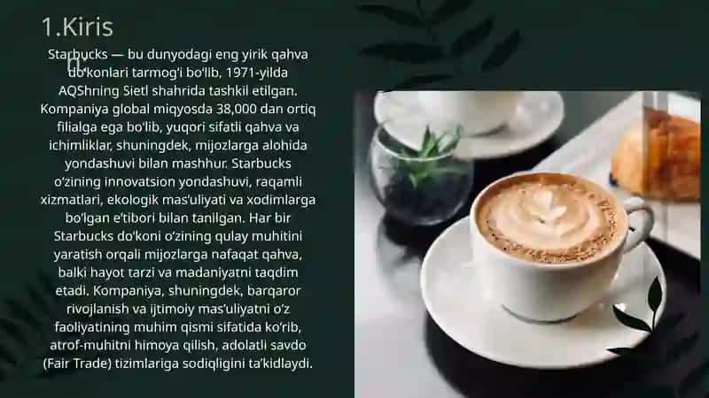 Mustaqil ishi 3