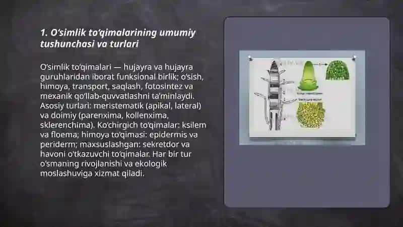 O‘simlik to‘qimalarining umumiy tushunchasi va turlari 3