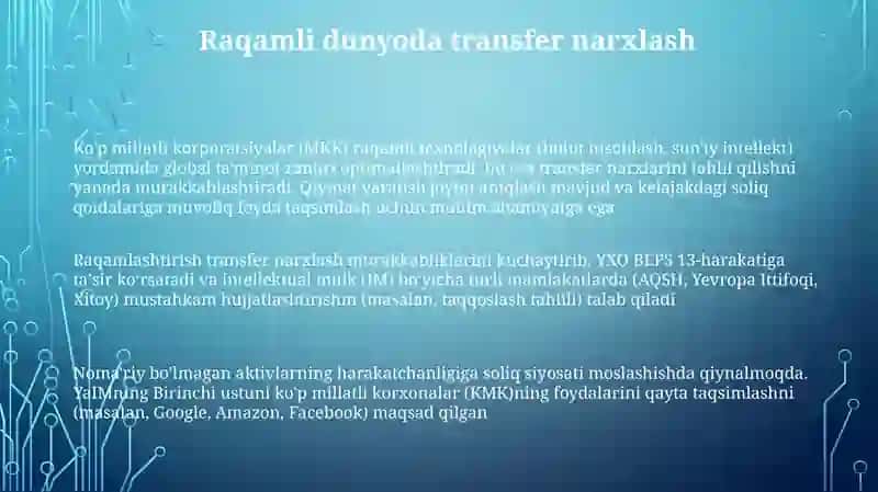 Raqamli Soliq Muammolari 3