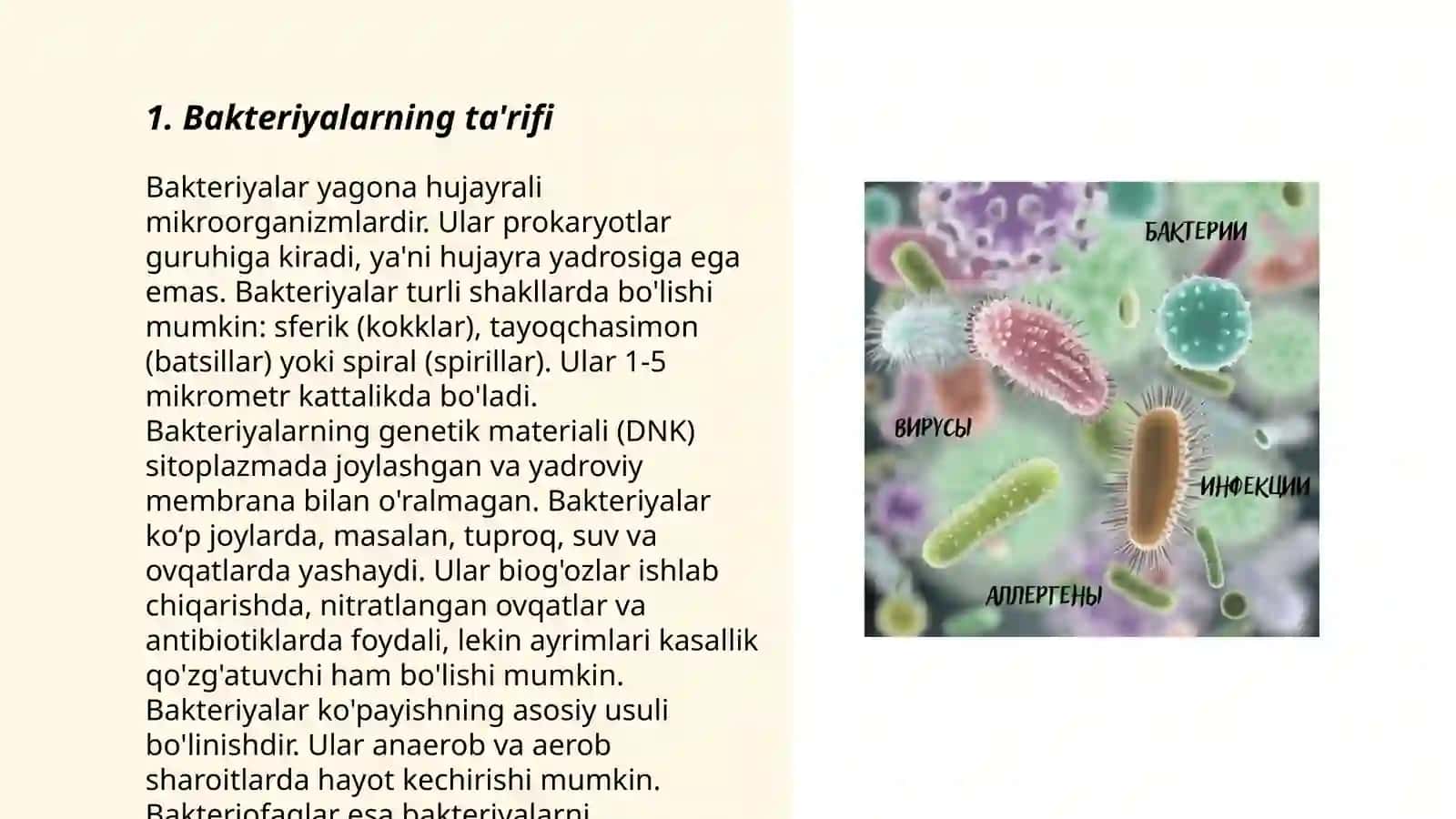 Bakteriyalar tushunchasi 3