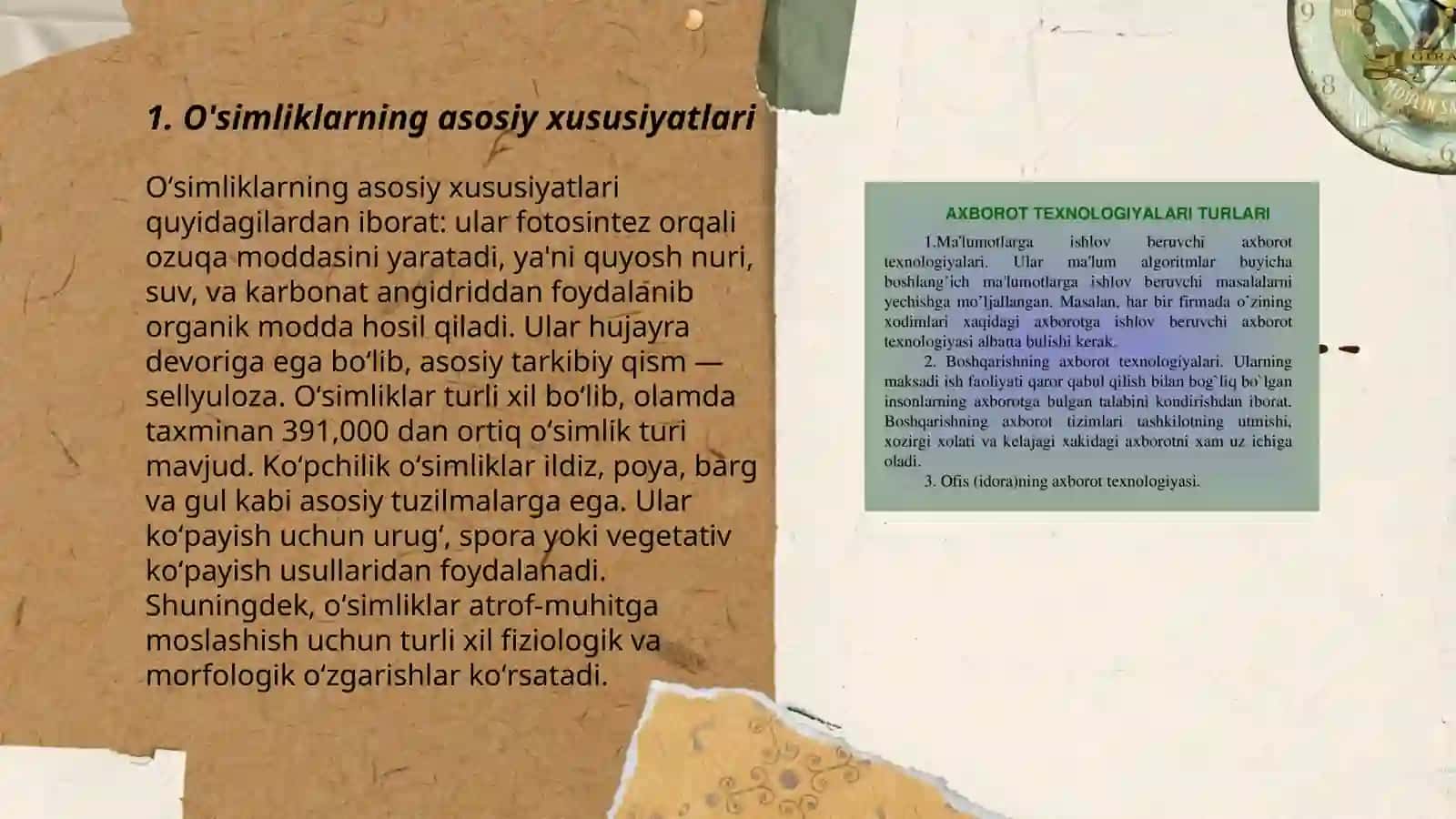 O'simliklar dunyosi va ularni hayot tarzi haqidagi bilimlarni bilib olish va tahlil qilish 3