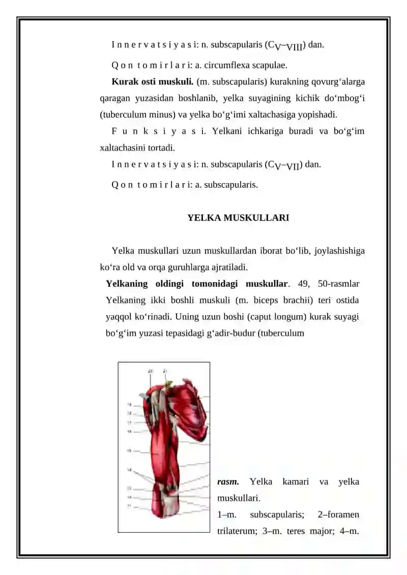 KO’KRAK QAFASI VA YELKA KAMARI SHIKASTLANISHLARINING ASOSIY DAVOLOVCHI USULLARI 3