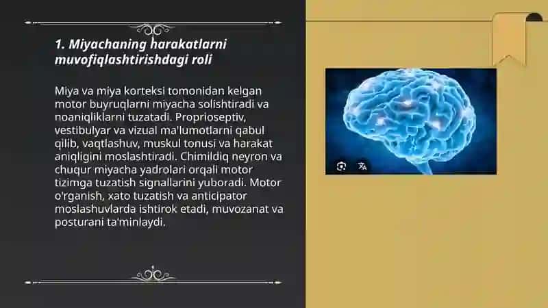 Miyacha asab mushak apparatining funksiyasi 3