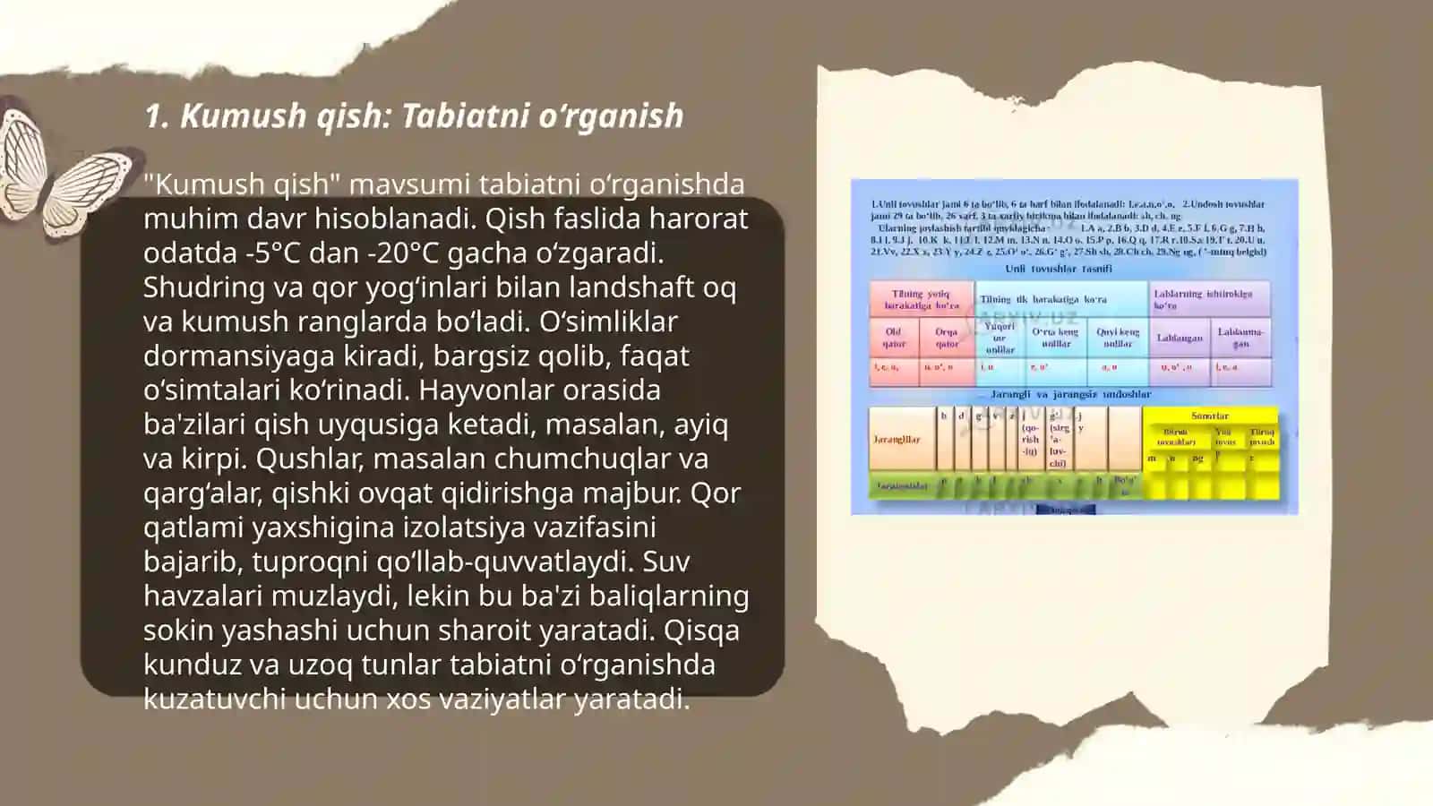 Kumush qish 3