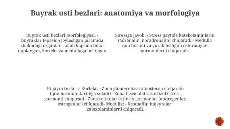 Stress Holatida Buyrak Usti Bezlari Po’StlogʻI Garmonlarining Roli Va Hujayralarining Morfologik KoʻRinishlari 3