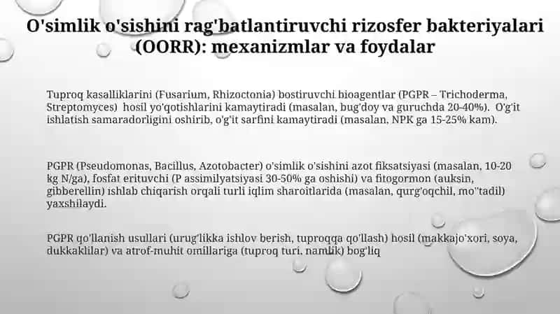 Mikroorganizmlarning qishloq ho‘jaligida,o‘simliklarni ximoya qilishda qo‘llanishi 3