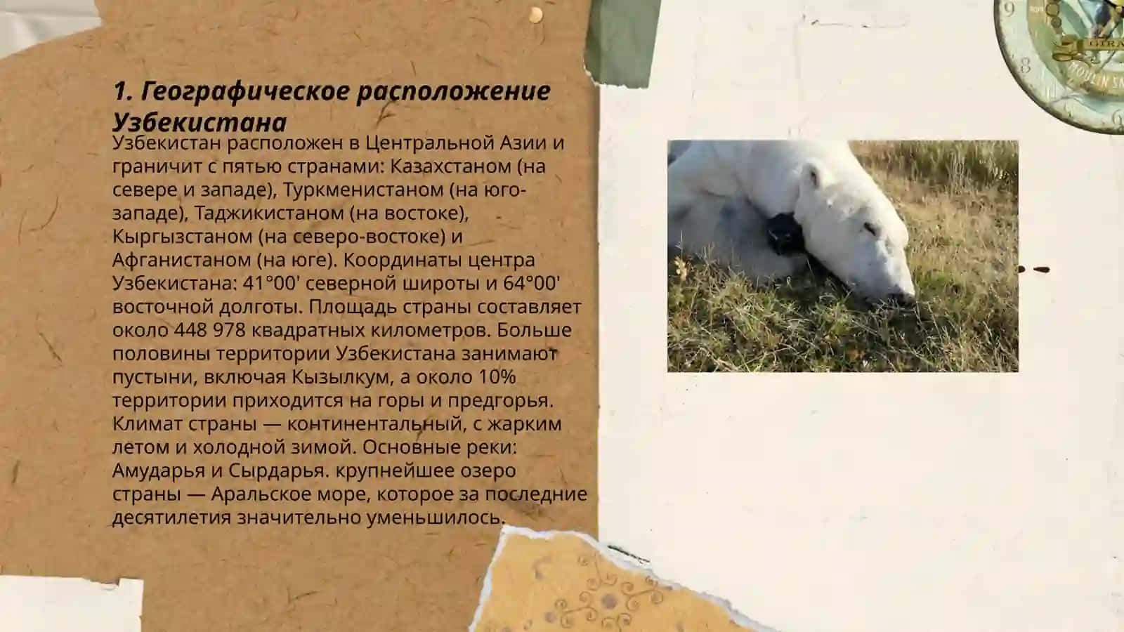 Моя родина Узбекистан 3