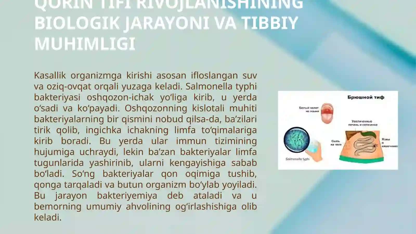 Qorin tifi 3
