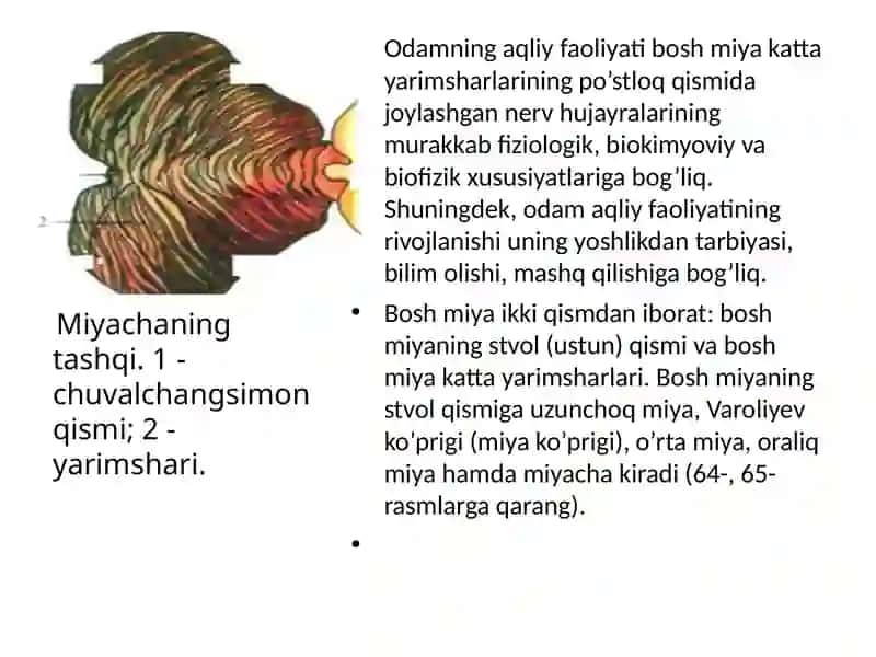 Boshmiya 3