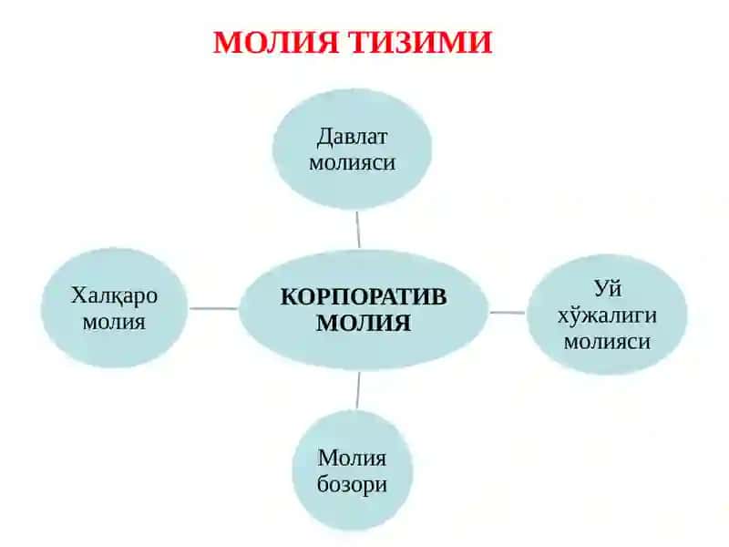 КОРПОРАТИВ МОЛИЯВИЙ СИЁСАТ ВА УНИНГ АСОСИЙ ЙЎНАЛИШЛАРИ 3