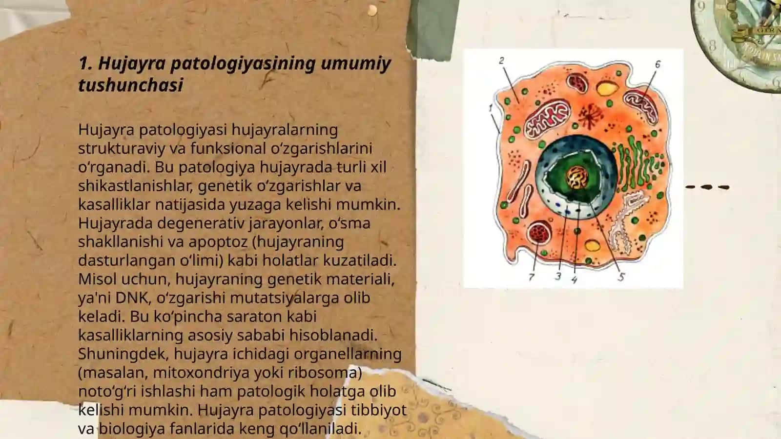 Hujayra patologiyasi va uning kelib chiqish sabablari 3