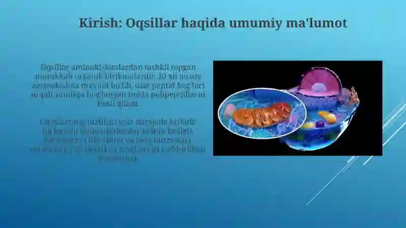 Oqsillar tuzilishi va ularning ishlatilishi 3