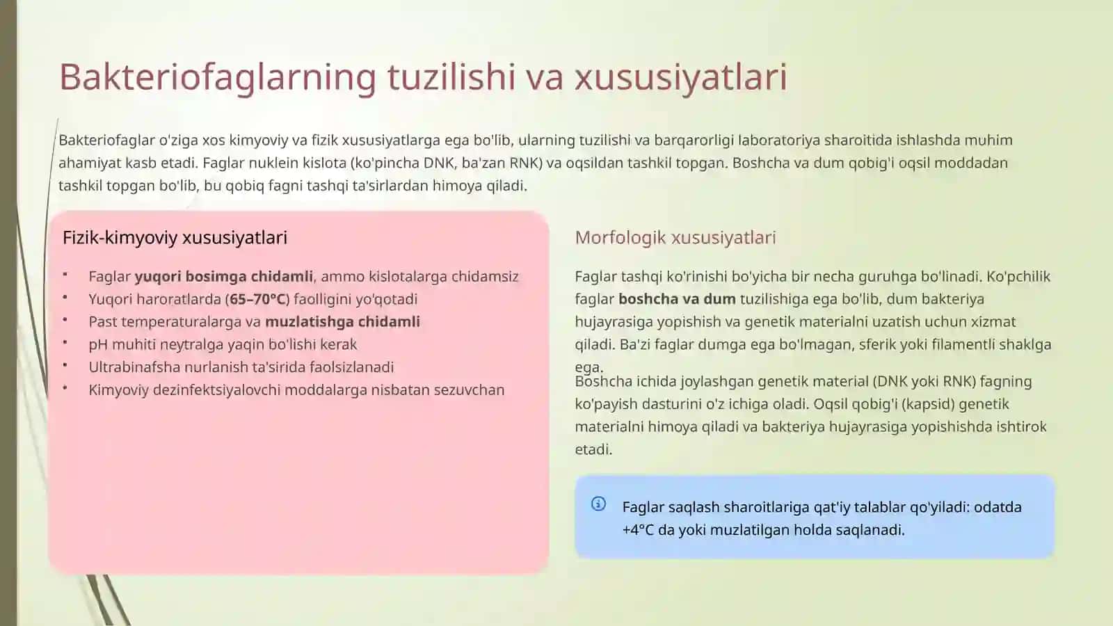 Bakteriofaglarning bakteriyalarga ta'siri 3