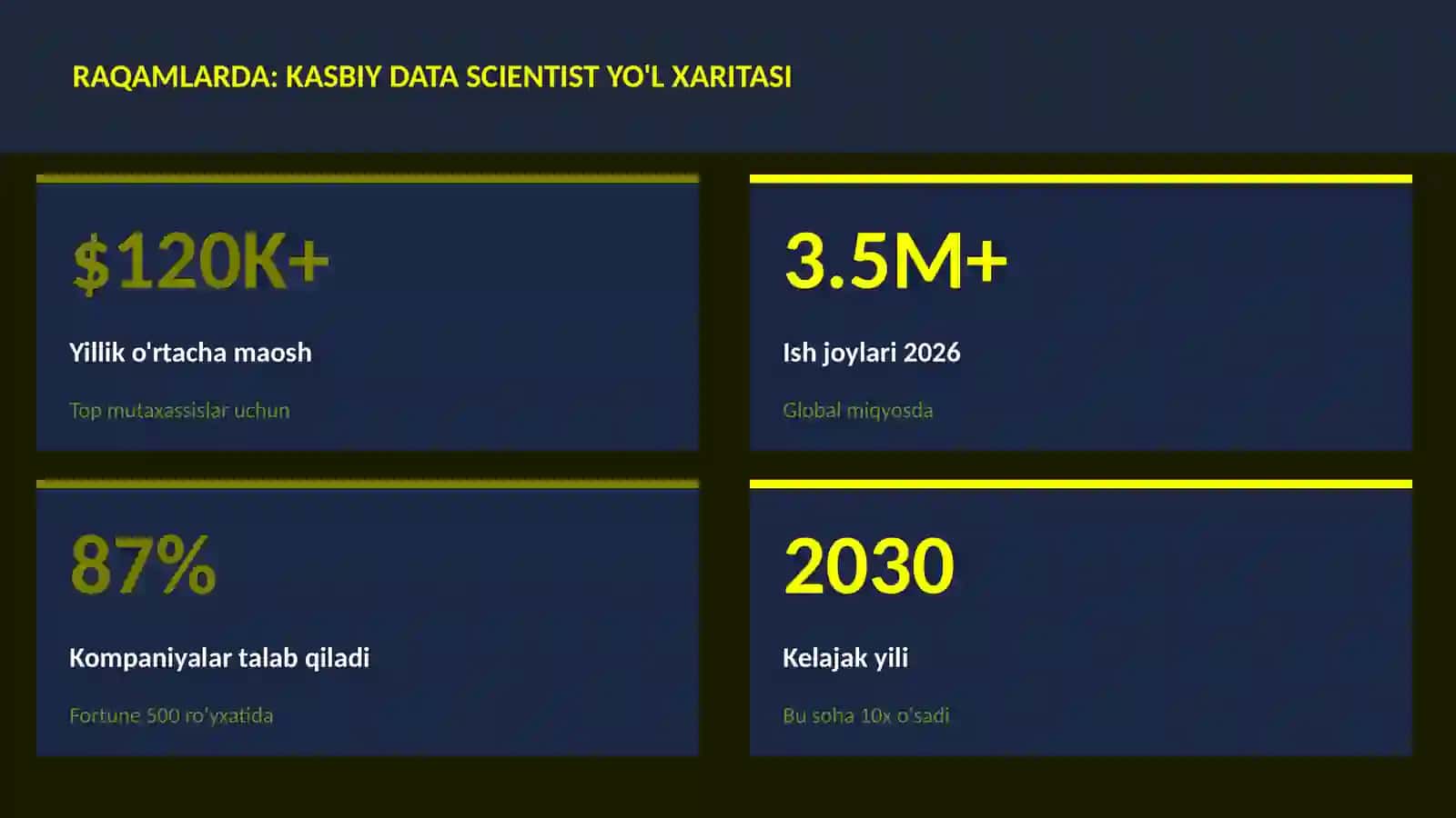 Kasbiy data scientist yo'l xaritasi 3