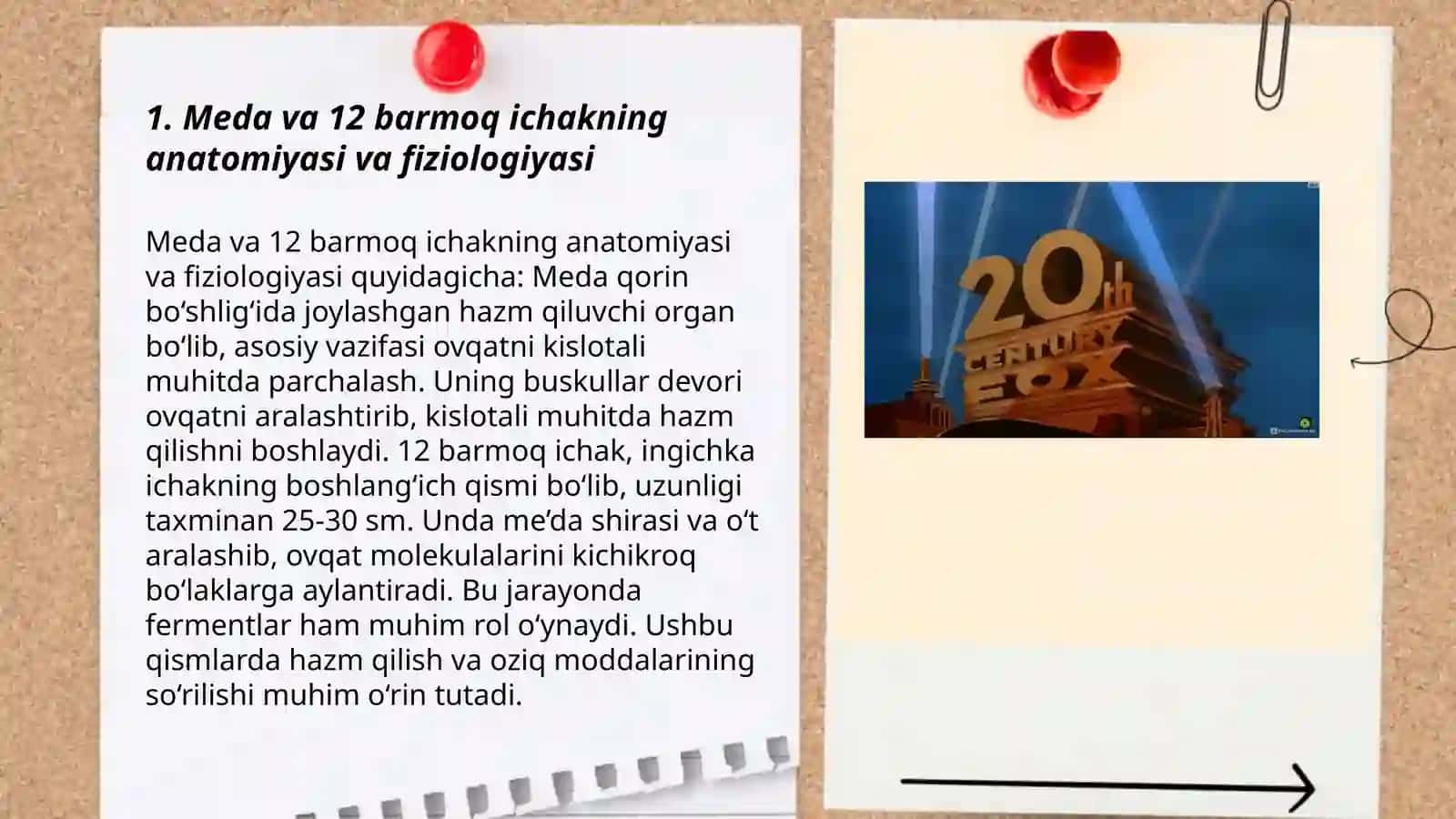 Meda va 12 barmoq ichakning anatomiyasi va fiziologiyasi 3