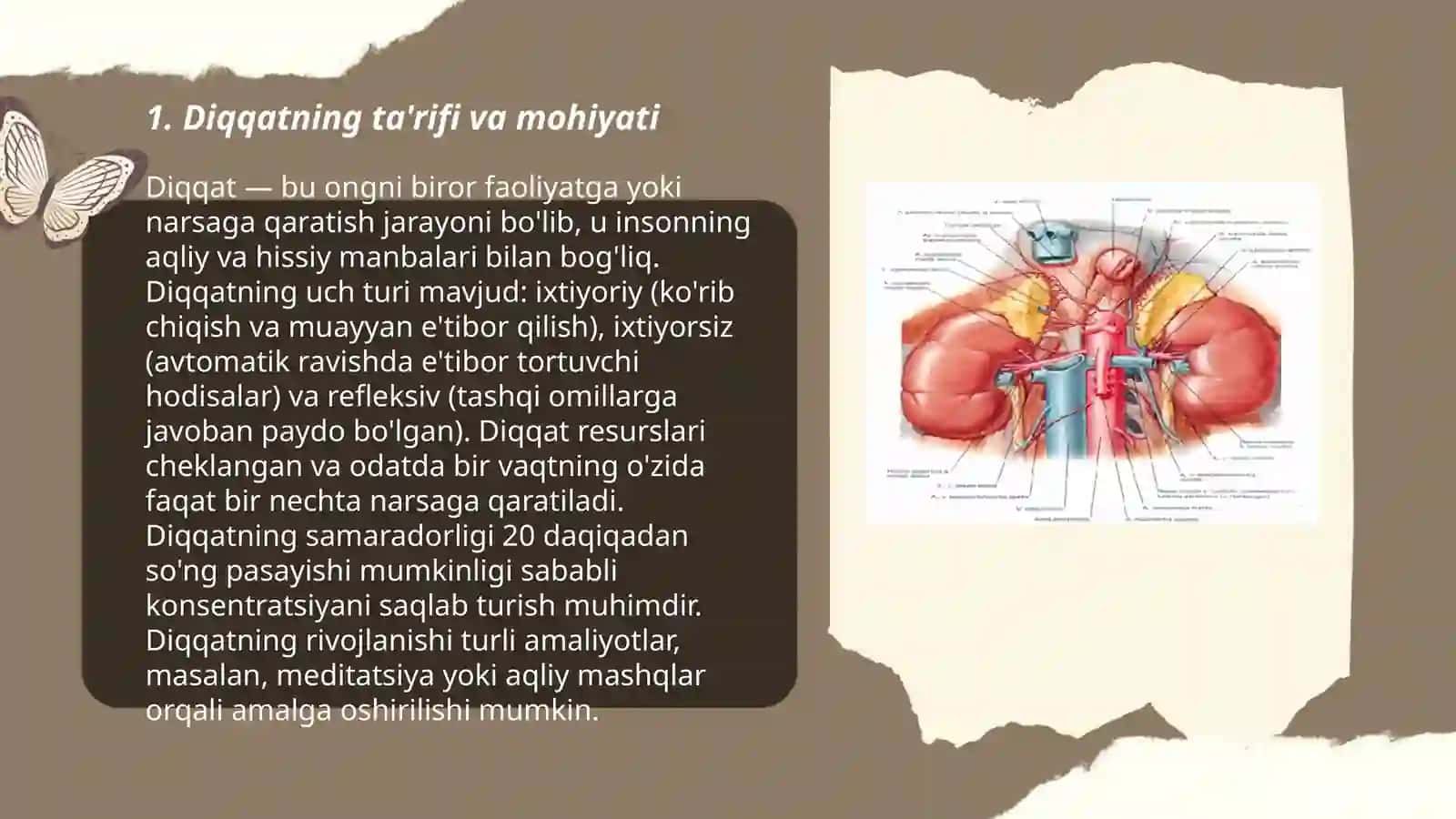 Diqqat va sezgi hagida tushuncha, uning nerv-fiziologik asoslari 3