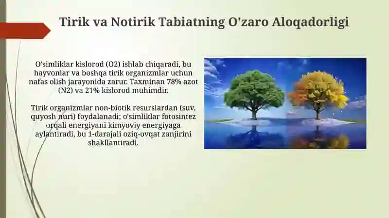 Tirik va Notirik Tabiatning O'zaro Aloqadorligi 3