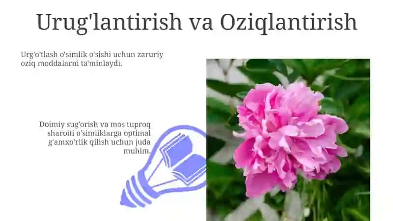 Tabiat burchagida o'simliklarni parvarish qilish 3