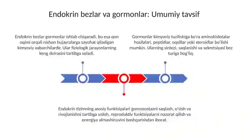 Ichki sekretsiya bezlari fiziologiyasi 3
