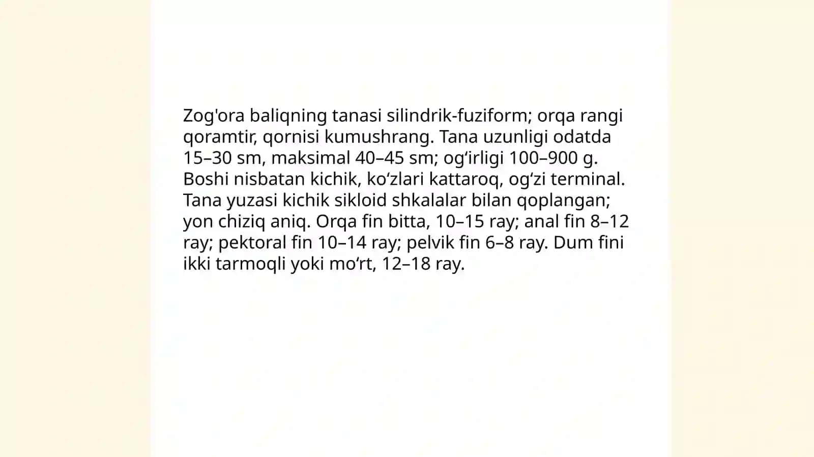 Zog'ora baliqning tashi va ichki tuzilishi 3