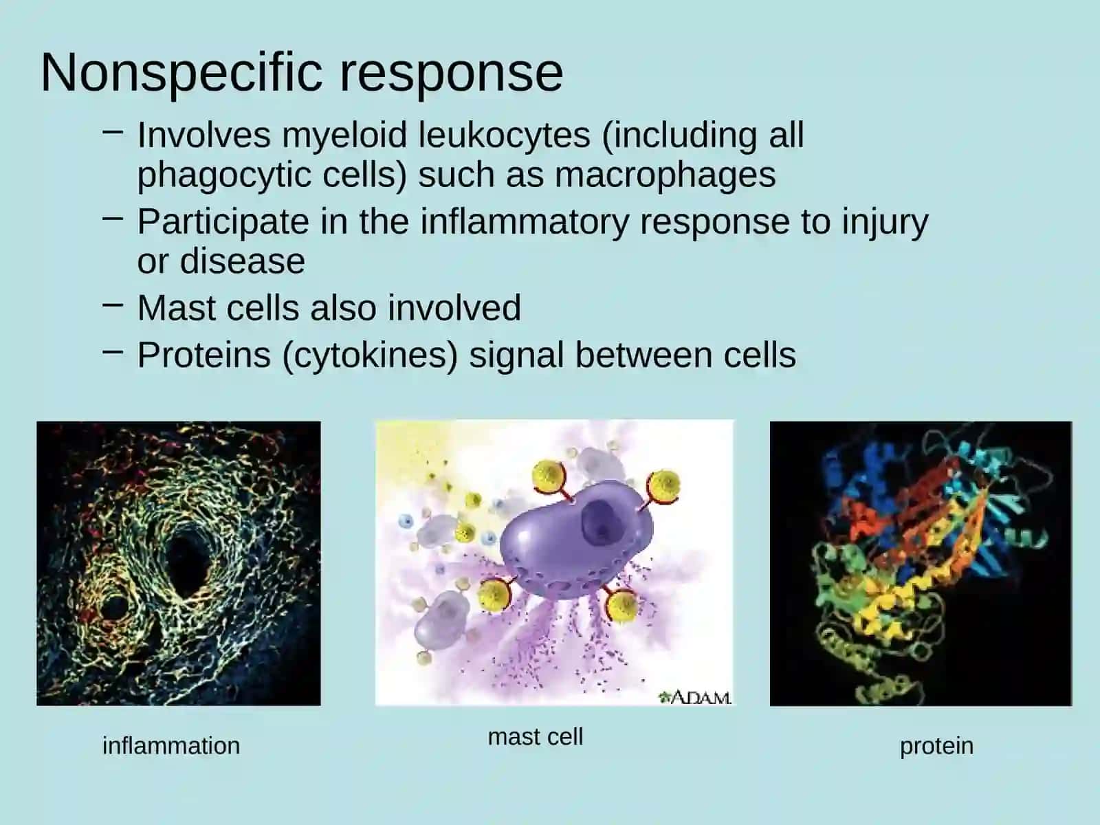 Basic Organization and Function of the Immune System 3