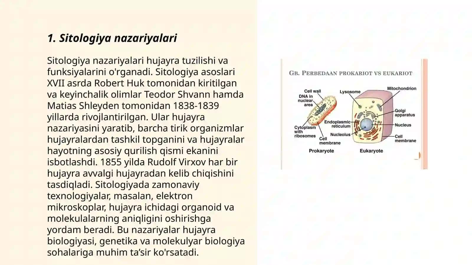 Sitologiya.Optik asboblarni tibbiyotda qo'llanilishi.Viruslar.Prokariotlar 3