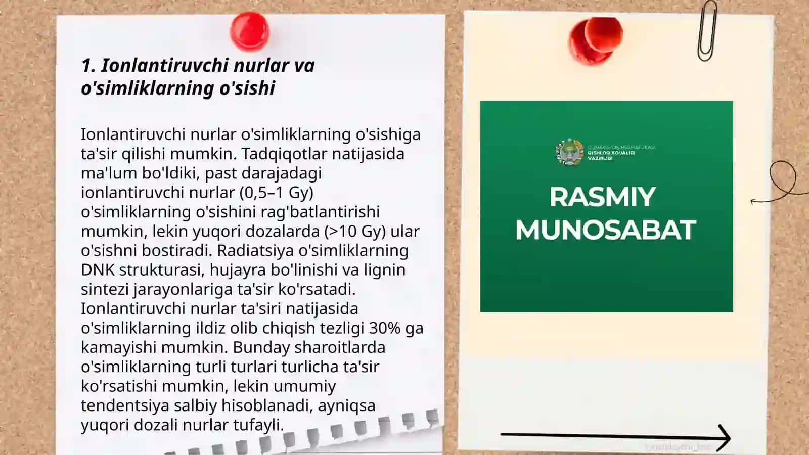 Ionlantiruvchi nurlarning qishloq xòjaligida ishlatilishi 3
