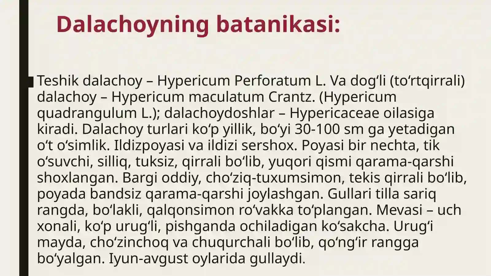 Dalachoyning o’simligining dorivorlik xususiyatlari 3