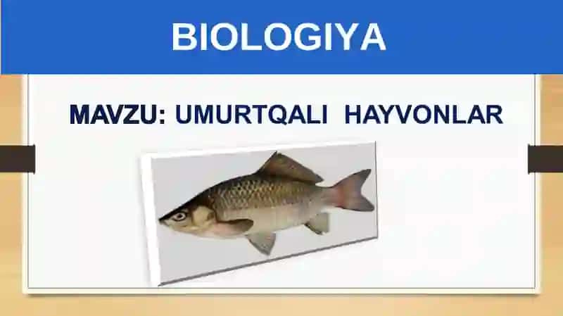 BIOLOGIYA 5-sinf MUSTAHKAMLASH BIOLOGIYA UMURTQALIHAYVONLAR 3