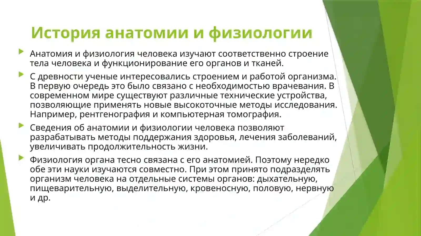 Анатомия и физиология человека. Глагол 3