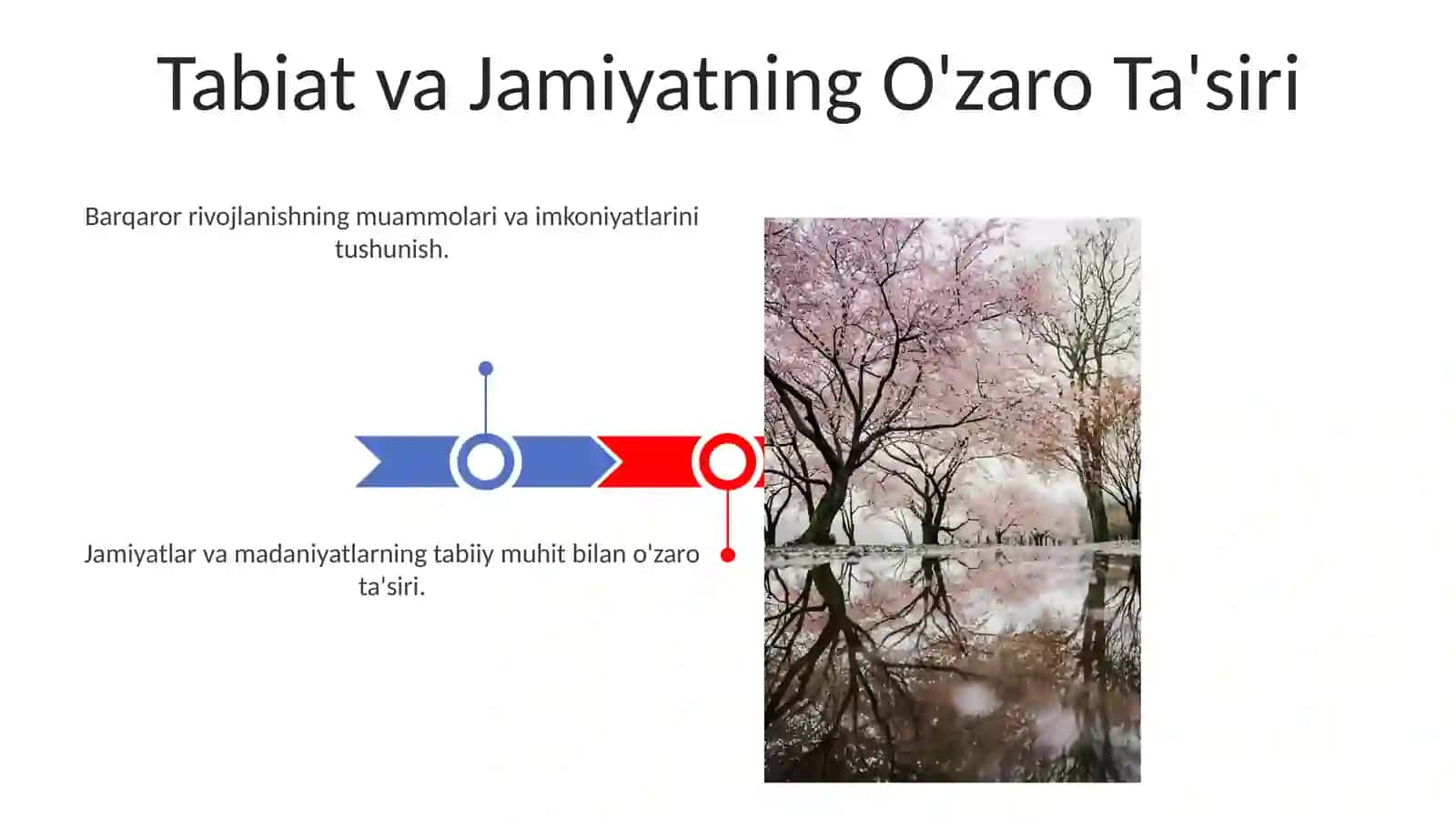 Inson va tabiat o‘zaro ta'siri haqida yondashuvlar va mintaqaviy tadqiqotlar 3