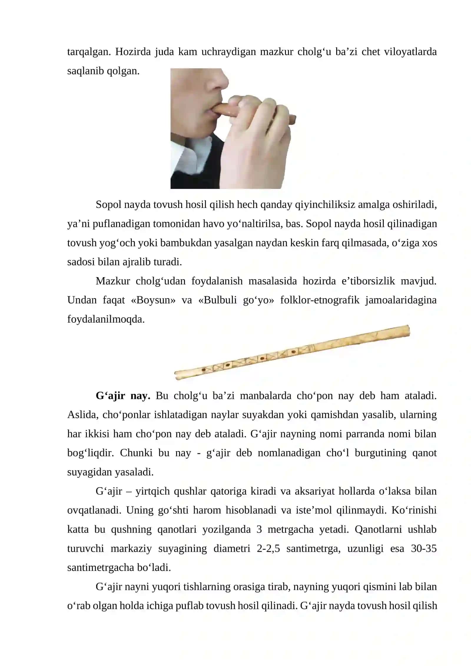 Noyob musiqiy cholg‘ularining ta’rifi 3