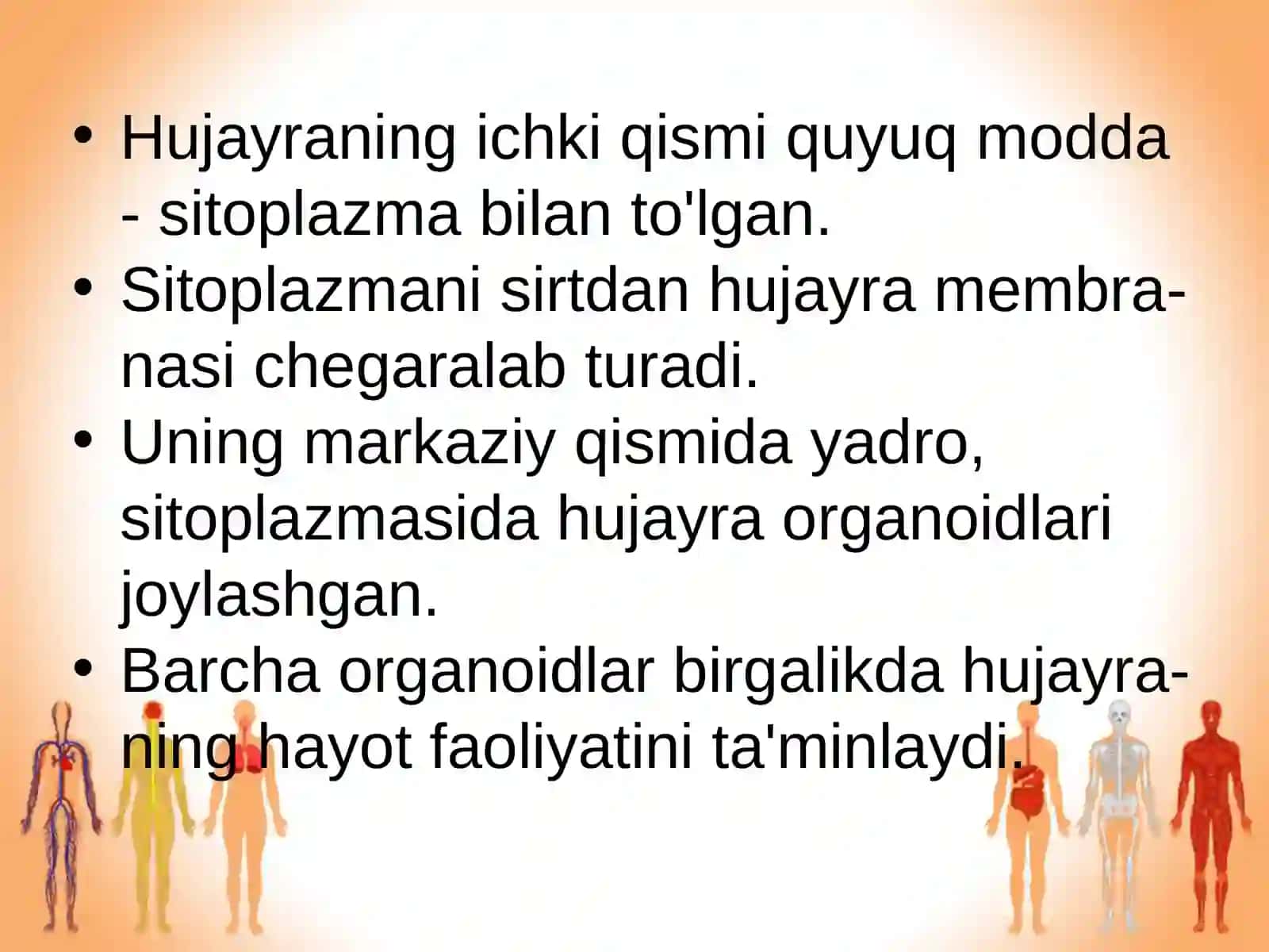 Odam organizmining hujayraviy tuzilishi 3